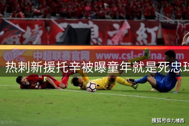 热刺新援托辛被曝童年就是死忠球迷