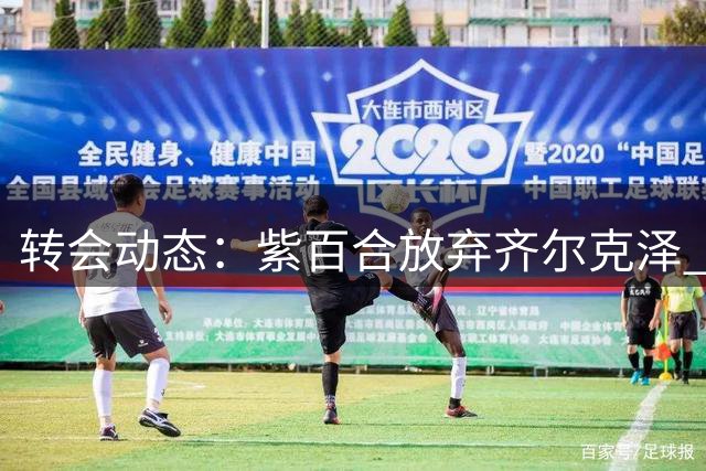 转会动态：紫百合放弃齐尔克泽 转攻埃弗顿前锋贝托